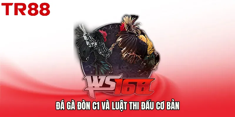 Đá gà đòn C1 và luật thi đấu cơ bản