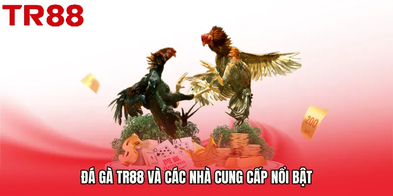 Đá Gà TR88 và các nhà cung cấp nổi bật