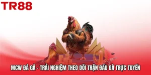 Mcw Đá Gà - Trải Nghiệm Theo Dõi Trận Đấu Gà Trực Tuyến