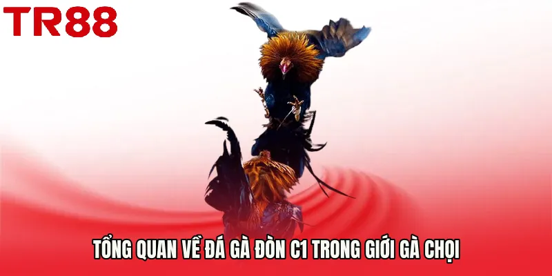 Tổng quan về Đá gà đòn C1 trong giới gà chọi