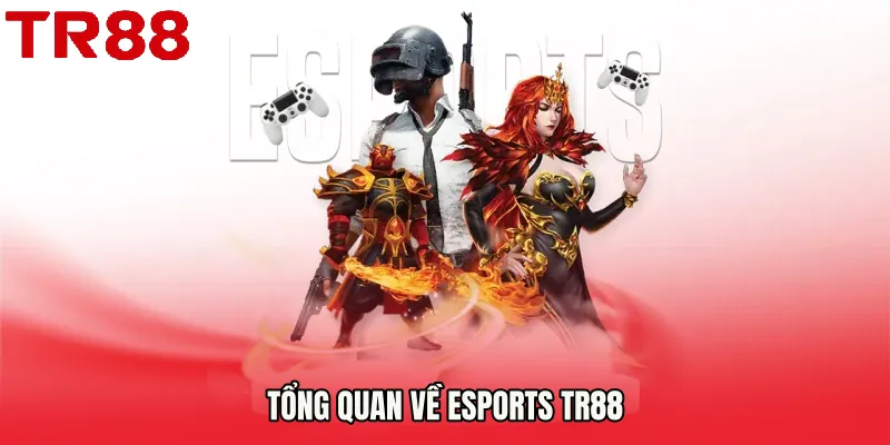 Tổng quan về Esports TR88