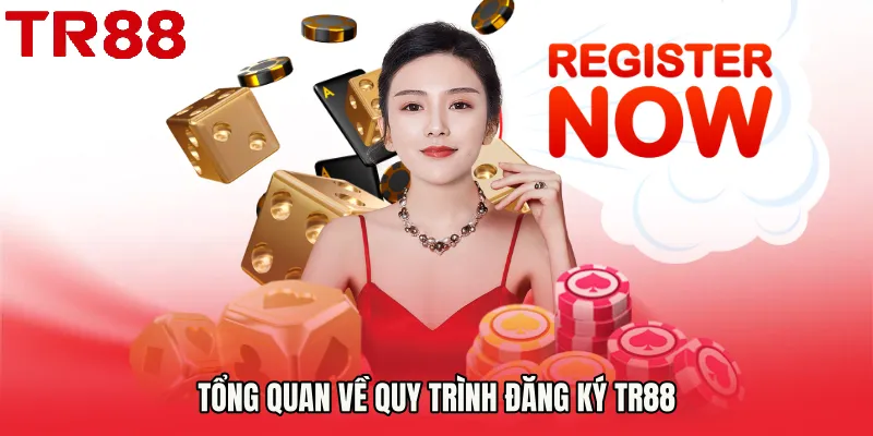 Tổng quan về quy trình Đăng Ký TR88