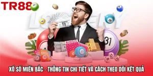 Xổ Số Miền Bắc – Thông Tin Chi Tiết Và Cách Theo Dõi Kết Quả